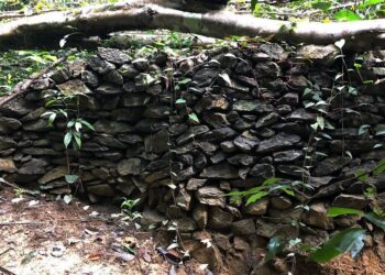 STRUKTUR batu susun binaan berusia lebih 100 tahun yang menjadi tinggalan sejarah aktiviti perlombongan bijih Timah ditemui di dalam hutan Banjaran Nakawan, Perlis baru-baru ini.- UTUSAN /SYAMIL ABD RAHMAN