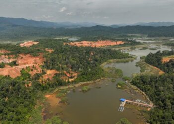 Keadaan Tasik Chini yang  musnah kesan daripada kerakusan aktiviti manusia.