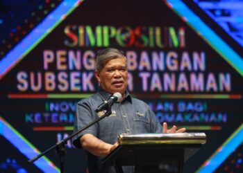 Lembu kambing
