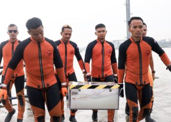 Kotak hitam