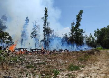 ISU peningkatan suhu memang diluar kawalan manusia, tetapi perlu ada inisiatif daripada semua pihak untuk mengatasinya. – GAMBAR HIASAN