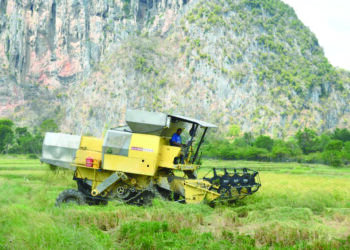 PESAWAH dijangka berdepan penyusutan pendapatan sehingga 30 peratus berikutan terpaksa menanggung kenaikan pelbagai kos kesan kenaikan harga diesel.-UTUSAN/IZLIZAN OTHMAN