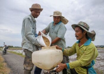 PESAWAH dijangka berdepan kenaikan kos mengusahakan tanaman padi pada musim ini. – UTUSAN/SHAHIR NOORDIN