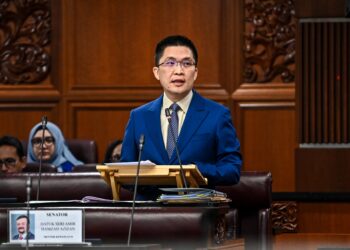 WONG Kah Woh semasa sesi pertanyaan-pertanyaan bagi jawab lisan di Dewan Negara hari ini.