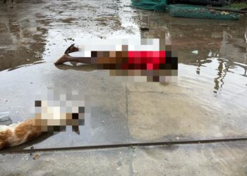 Maut banjir