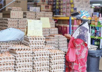 SUBSIDI telur ayam akan ditamatkan sepenuhnya 1 Ogos. – UTUSAN