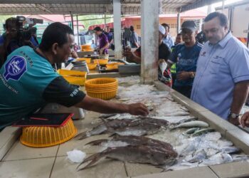 AMIR Hamzah Azizan  ketika meninjau projek menaik taraf jeti nelayan sempena Sesi Libat Urus Kampung Angkat MADANI di Jeti Nelayan Pulau Betong, Balik Pulau, Pulau Pinang.-UTUSAN/DANIAL SAAD