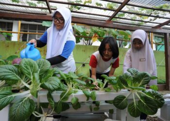 DENGAN mengintegrasikan teknologi AI ke dalam kurikulum sekolah, pelajar belajar tentang amalan pertanian mampan dan peranan teknologi dalam memerangi perubahan iklim.