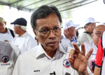 SHAFIE APDAL