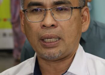 MOHAMAD DZIAUDDIN MAT SAAD