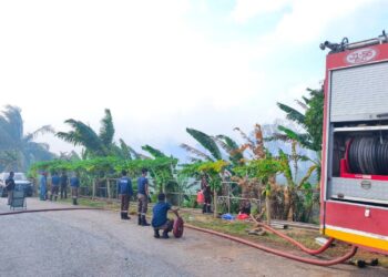 ANGGOTA bomba sedang memadamkan kebakaran melibatkan kawasan tanah gambut di Jalan Sungai Kapal, Kota Tinggi.