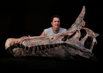 SERENO bergambar bersama tengkorak dinosaur Spinosaurid Spinosaurus mirabilis.di Makmal Fosil Universiti Chicago, Illinois. - AFP