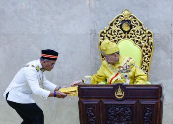 Ternakan babi