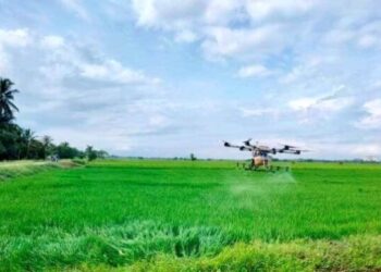 PENGGUNAAN teknologi pertanian seperti dron perlu dimanfaatkan sepenuhnya boleh membantu mengoptimumkan penggunaan input serta mengurangkan kos operasi susulan kenaikan harga diesel.