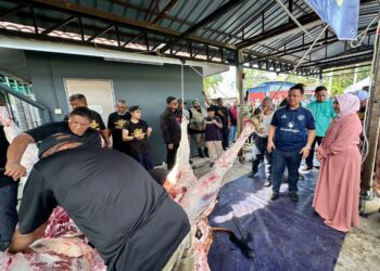 TUANKU Syed Faizuddin Putra Jamalullail dan Tuanku Dr. Hajah Lailatul Shahreen Akashah Khalil berkenan berangkat menyaksikan pelaksanaan ibadah korban sempena sambutan Aidiladha di Masjid Al-Mursyid, Pauh Guring.-UTUSAN