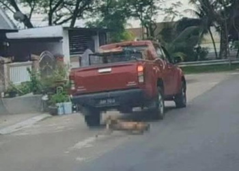 TANGKAP layar video tular pekerja kepada kontraktor MBJB melanggar anjing liar di kawasan Puteri Wangsa, Johor Bahru.