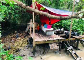 PENEMPATAN yang dipercayai digunakan untuk memproses daun ketum di kawasan hutan paya bakau persisiran muara Sungai Kuala Sanglang, Perlis, semalam. -UTUSAN
