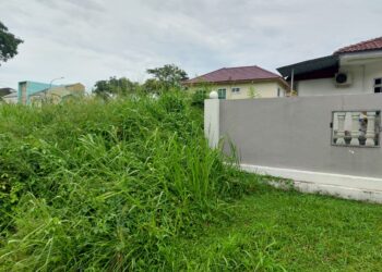 KEADAAN ‘hutan mini’ di lot tidak berpenghuni yang membimbangkan penduduk Desa Perwira, Ipoh, Perak. – IHSAN PENDUDUK DESA PERWIRA