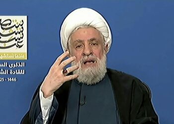 NAIM QASSEM