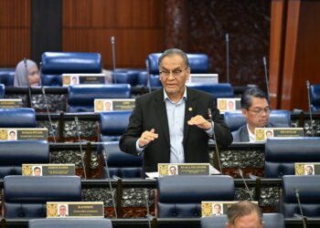 DZULKEFLY AHMAD