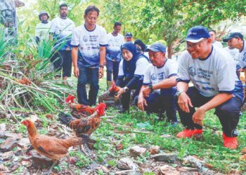 ABDUL Khadir Abu Hashim (dua dari kanan) dan Adnan Hussain (kanan) melepaskan ayam hutan sebagai simbolik Program Sambutan Minggu Laut Sedunia 2026 di Pusat Taman Laut Pulau Redang, Kuala Nerus, Terengganu. -UTUSAN/PUQTRA HAIRRY