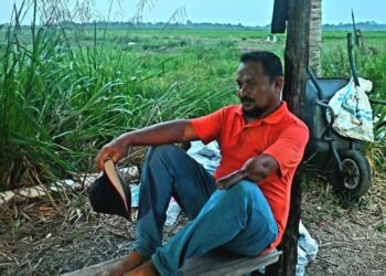 AZHAR Rejab mengenang nasib industri padi dan beras negara yang diibaratkannya seperti retak menanti belah di kawasan sawah padi diusahakan di Kampung Pulau Rusa di Pekan, Pahang. – UTUSAN/SHAIKH AHMAD RAZIF
