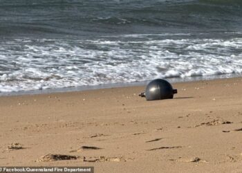 MISTERI bebola ragam di Pantai Forrest akhirnya terjawab. - Jabatan Bomba Queensland/Facebook