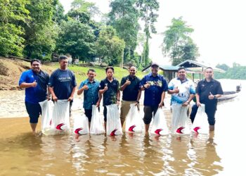 ADNAN Hussain (depan, tiga dari kanan) melepaskan benih ikan asli ke habitat semula jadi pada Program Pelepasan Ikan Asli di Santuari Ikan Asli Kuala Sat di Jerantut, Pahang.