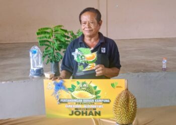 HUSAIN A. Razak menunjukkan durian Bukit Batu yang dinobatkan sebagai juara durian premium kampung peringkat Jerantut di Taman Seri Damak, Jerantut, Pahang. – mingguan/HARIS FADILAH AHMAD