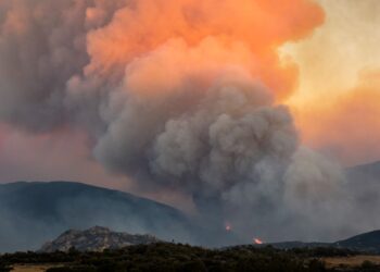 AWAN api terbentuk akibat kebakaran hutan di selatan Perancis. - AFP
