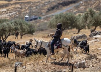 SEORANG peneroka haram Yahudi menunggang keldainya dan menggembala ternakannya di Tebing Barat yang dijajah Israel. - AFP