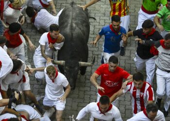 PESERTA berlari bersama sekumpulan lembu jantan semasa acara larian lembu jantan kelima sempena Festival San Fermin di Pamplona, utara Sepanyol semalam. - AFP.