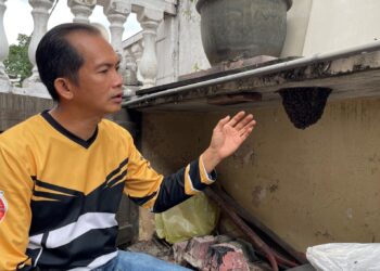 DENNIS Liew memeriksa sarang lebah di halaman sebuah rumah.