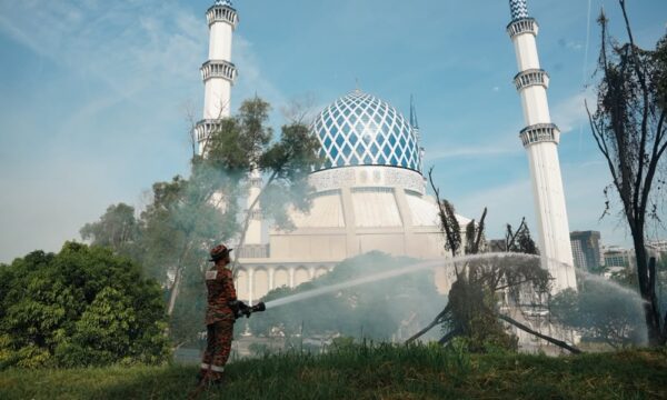 Hutan terbakar