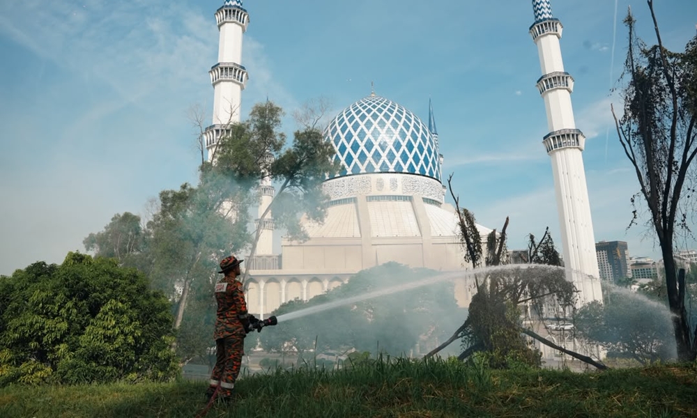 Hutan terbakar