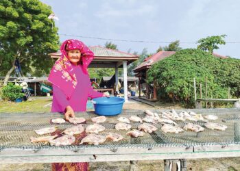 KELTHUM Awang Ngah meneruskan rutin hariannya mencari rezeki dengan menjemur ikan untuk dijadikan ikan masin di Kampung Kempadang, Kuantan, Pahang. – UTUSAN/DIANA SURYA ABD WAHAB