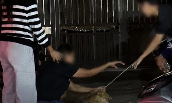 Dakwa bunuh anjing