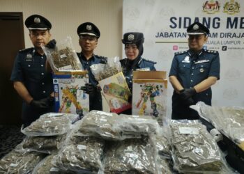 ASPALILA AG Tuah menunjukkan rampasan bunga ganja yang disorok dalam kotak permainan kanak-kanak pada sidang akhbar di Kompleks Kastam Kargo KLIA, Sepang hari ini.