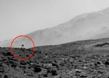 UBUR-ubur misteri ditemukan di Marikh. - NASA