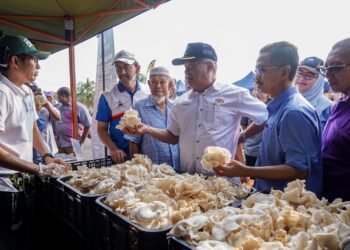 Import makanan