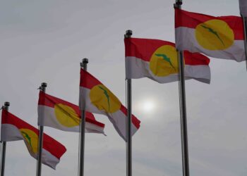 UMNO