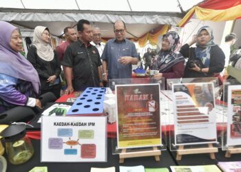 Penyelidikan benih