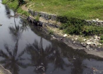 ISU pencemaran Sungai Kereh yang terletak di antara sempadan Tasek Gelugor dan Kepala Batas, Pulau Pinang sebelum ini sering dikaitkan dengan aktiviti penternakan babi.-UTUSAN