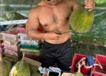 AMIR Syarifuddin Suhaimi yang berbadan sasa menjual durian tanpa memakai baju di Kuala Terengganu, Terengganu.
